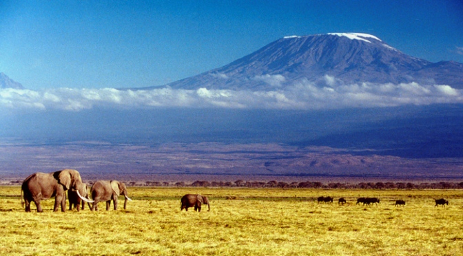 Travel Talk Show feature: Chad Newton climbs Kilimanjaro!