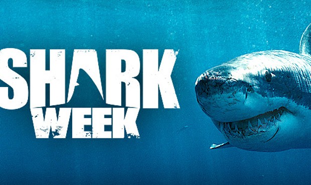 Shark Week- Malevolent misconceptions