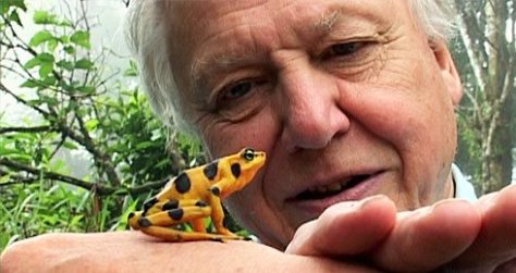 david_attenborough___i_don_t_ever_want_to_stop_work_
