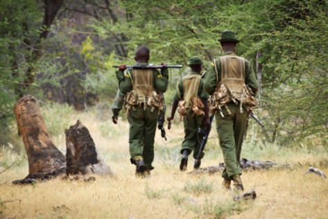 kenya-wildlife-rangers